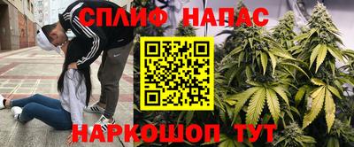 шишки Ливны