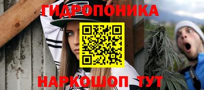 шишки Ливны