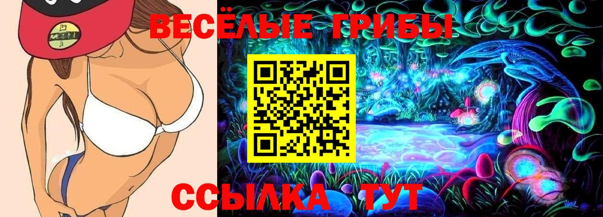 Псилоцибиновые грибы мицелий Черкесск