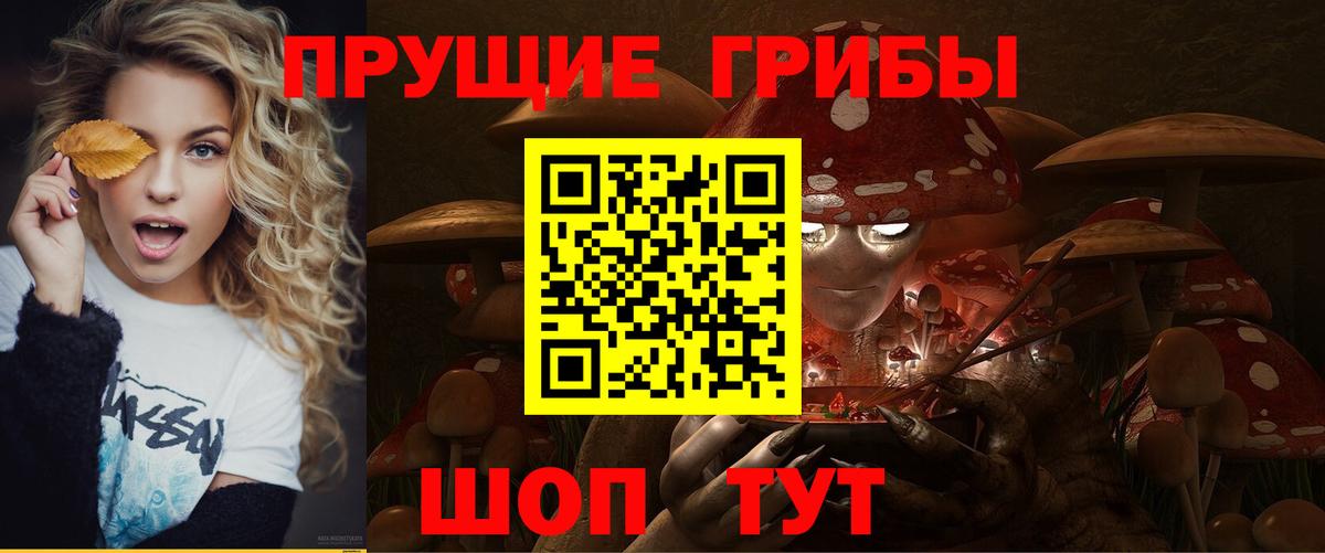 Черкесск  Псилоцибиновые грибы мицелий  Галлюциногенные грибы Magic Shrooms  Вход с VPN 